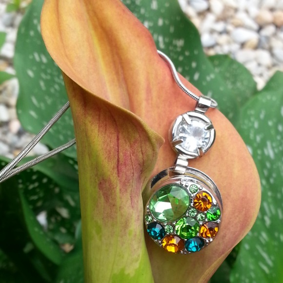 jewelsinasnap